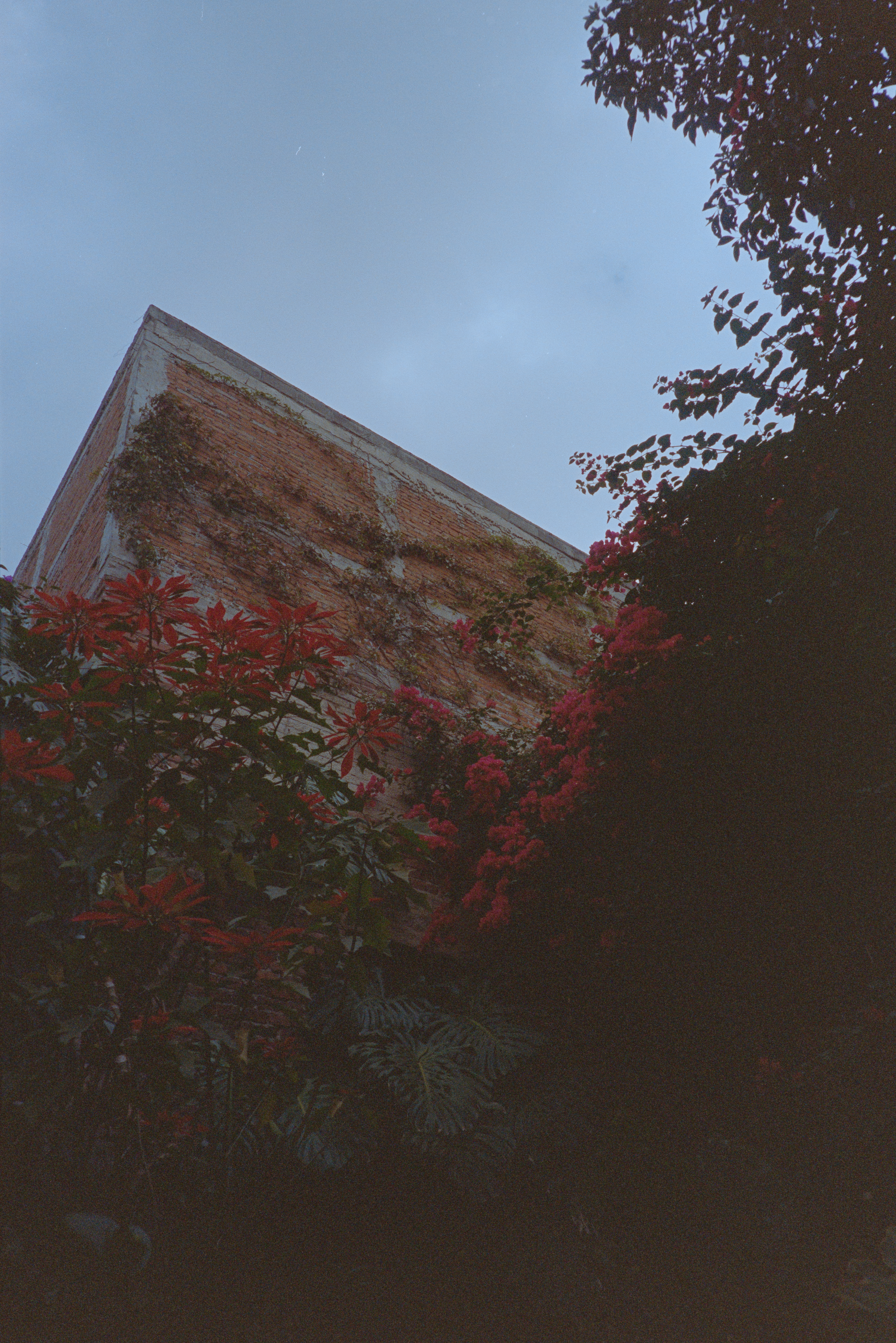 Image of a house